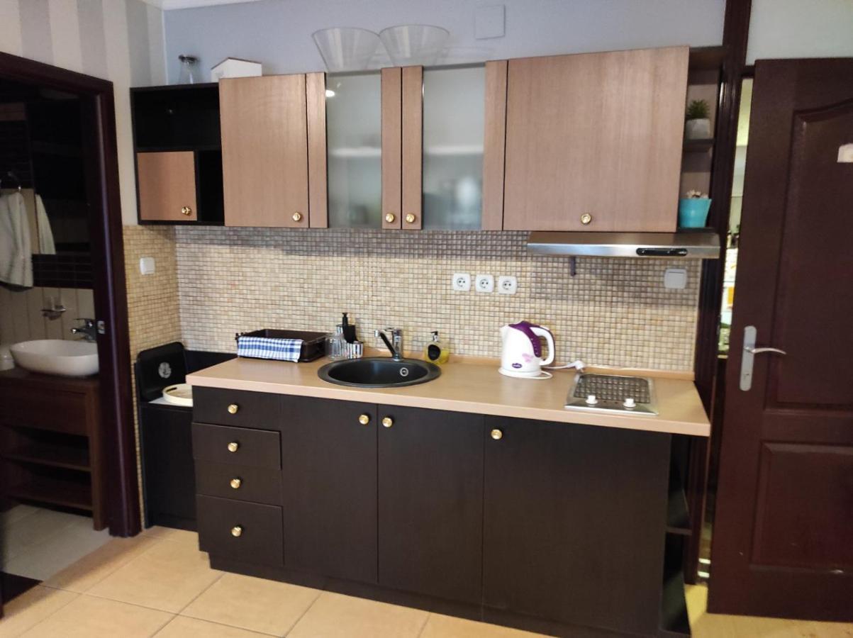 Vila Mila Riverside Apartments Semendire Dış mekan fotoğraf