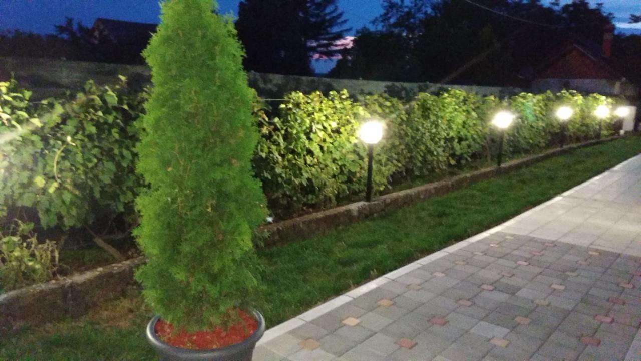 Vila Mila Riverside Apartments Semendire Dış mekan fotoğraf