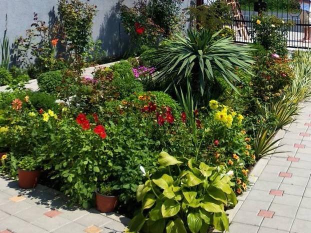 Vila Mila Riverside Apartments Semendire Dış mekan fotoğraf