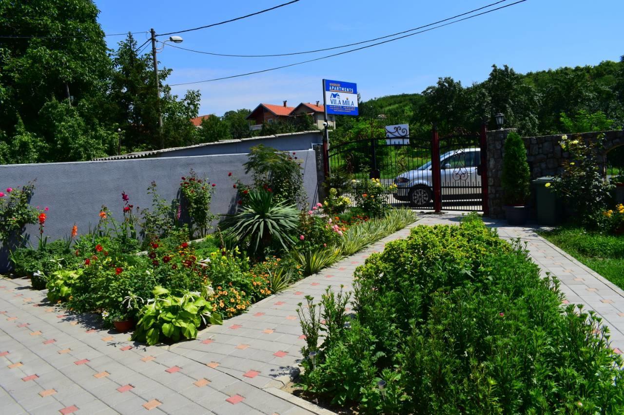 Vila Mila Riverside Apartments Semendire Dış mekan fotoğraf